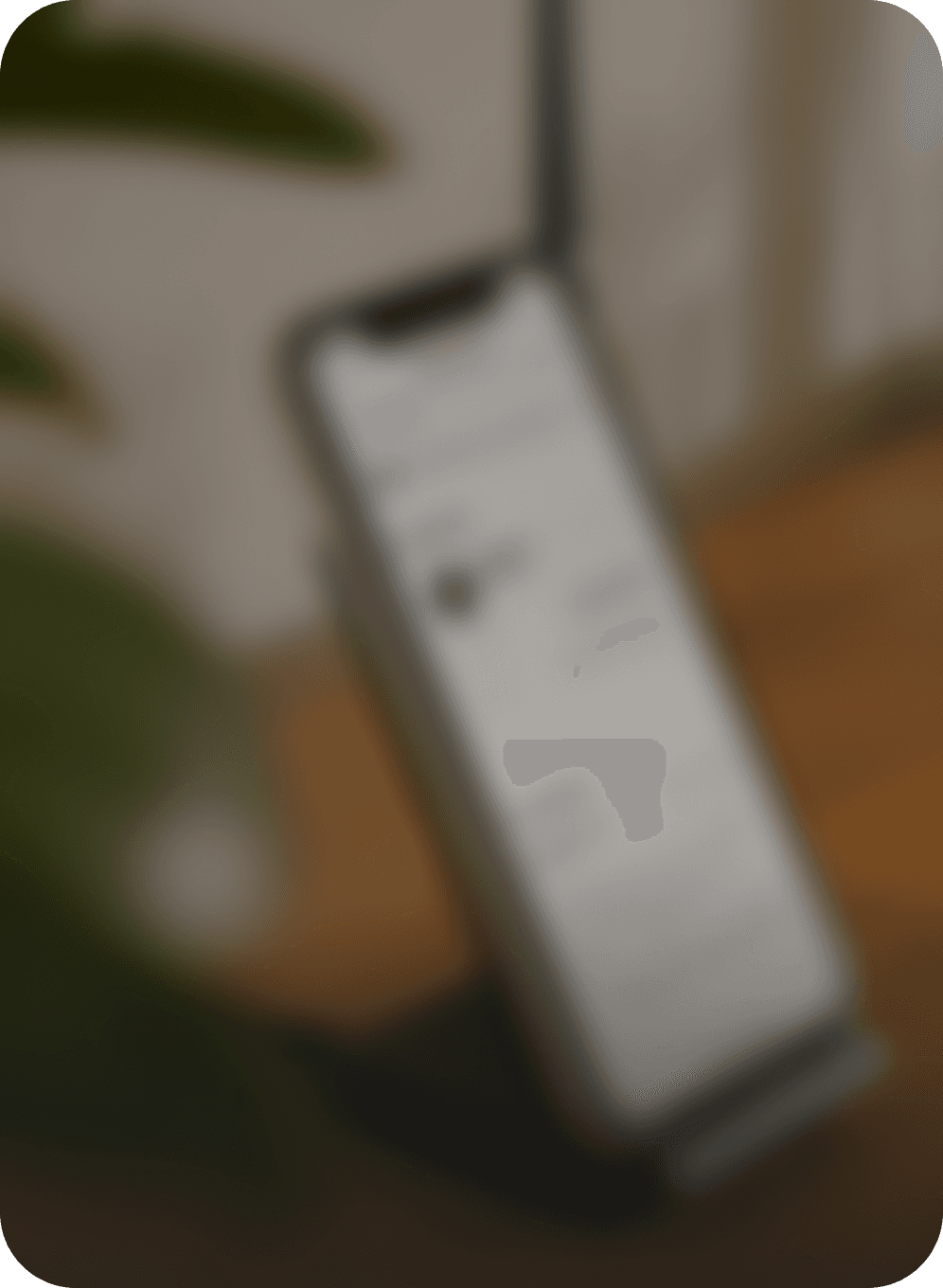 Image Missing